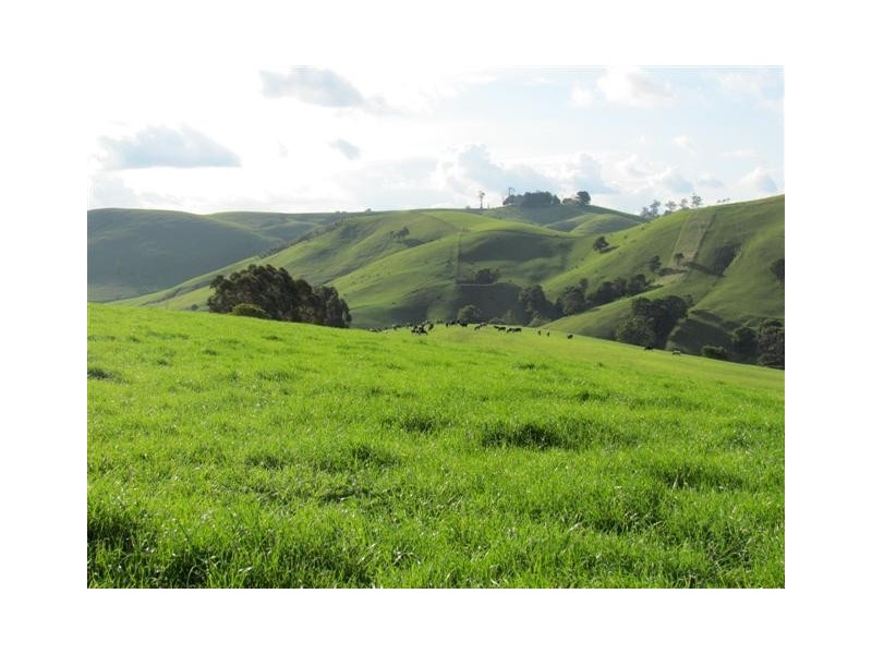 Lot 2 / 135 Waterfall Road, Poowong East VIC 3988