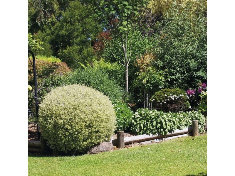 Leongatha South VIC 3953