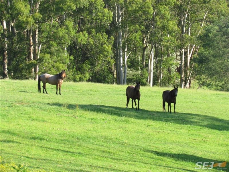 1380 Main Neerim Road, Rokeby VIC 3821