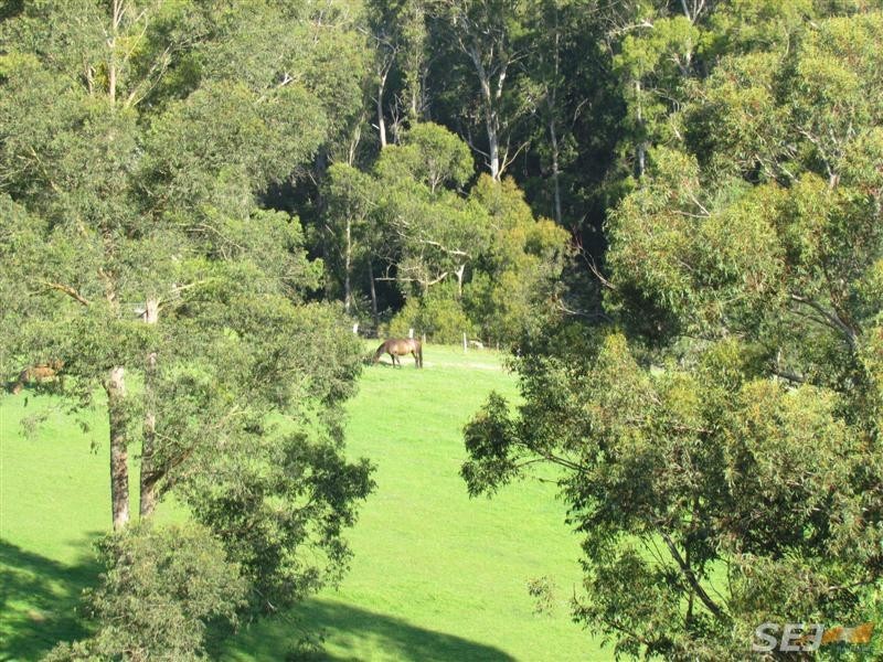 1380 Main Neerim Road, Rokeby VIC 3821