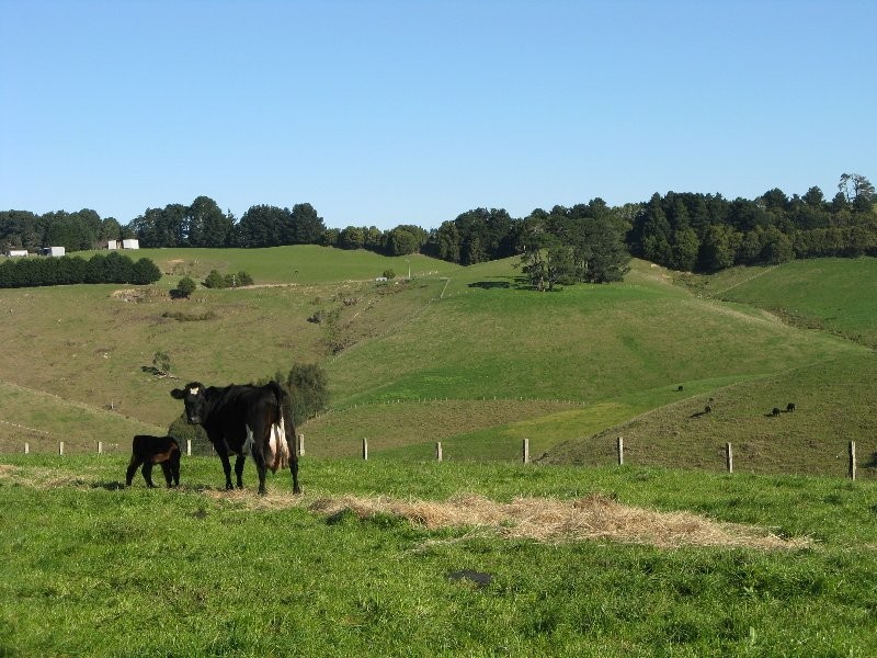 3285 South Gippsland Highway, Foster VIC 3960