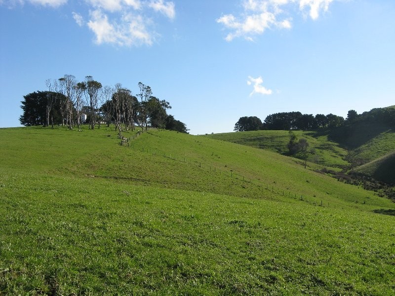 3285 South Gippsland Highway, Foster VIC 3960