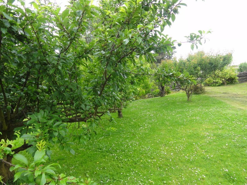 1 Hall Road, Foster VIC 3960