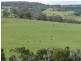 39 McAlpine Rd, Carrajung VIC 3844