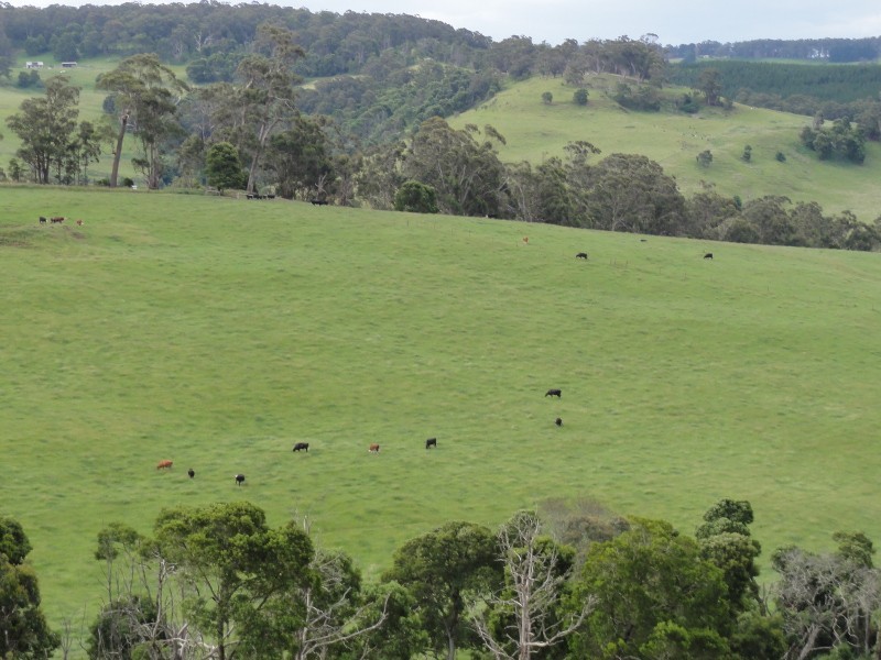 39 McAlpine Rd, Carrajung VIC 3844