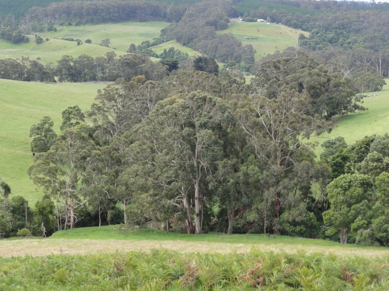 39 McAlpine Rd, Carrajung VIC 3844