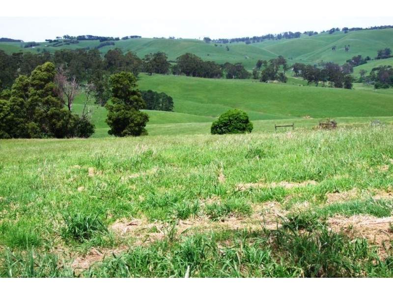 255 Mt. Vernon Rd, Berrys Creek VIC 3953