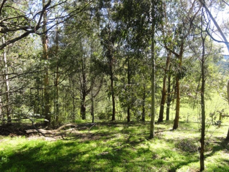 40 Lyrebird Lane, Foster VIC 3960