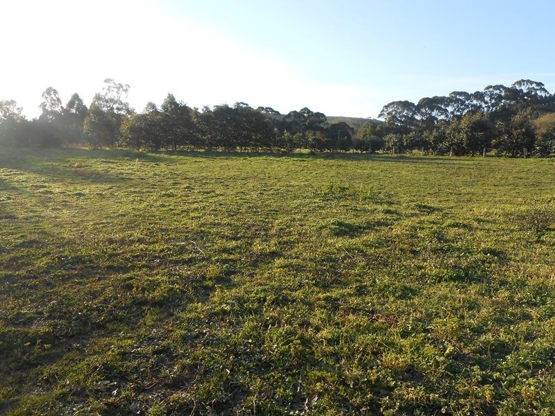 8a Mill Street, Toora VIC 3962