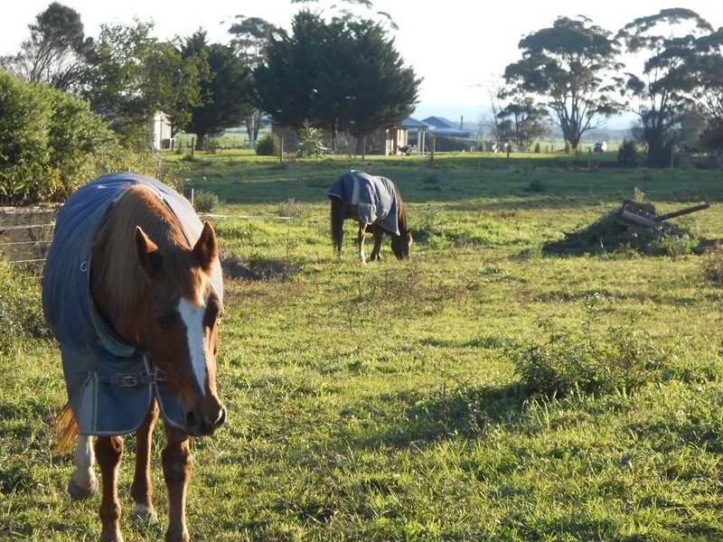 8a Mill Street, Toora VIC 3962