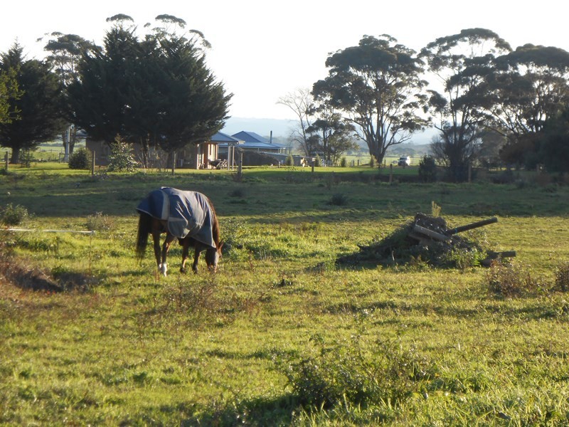 8a Mill Street, Toora VIC 3962