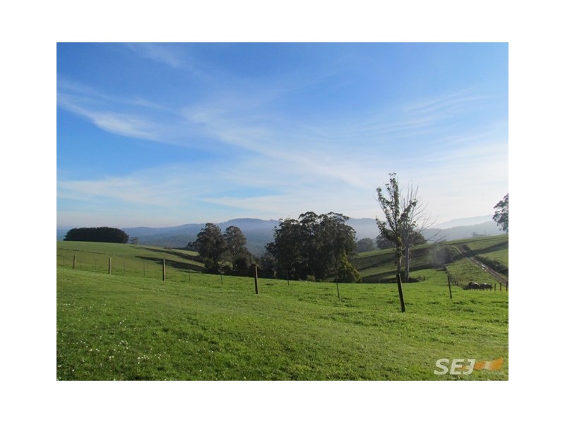 Lots 1, 2 and 3 Government Road, Neerim VIC 3831