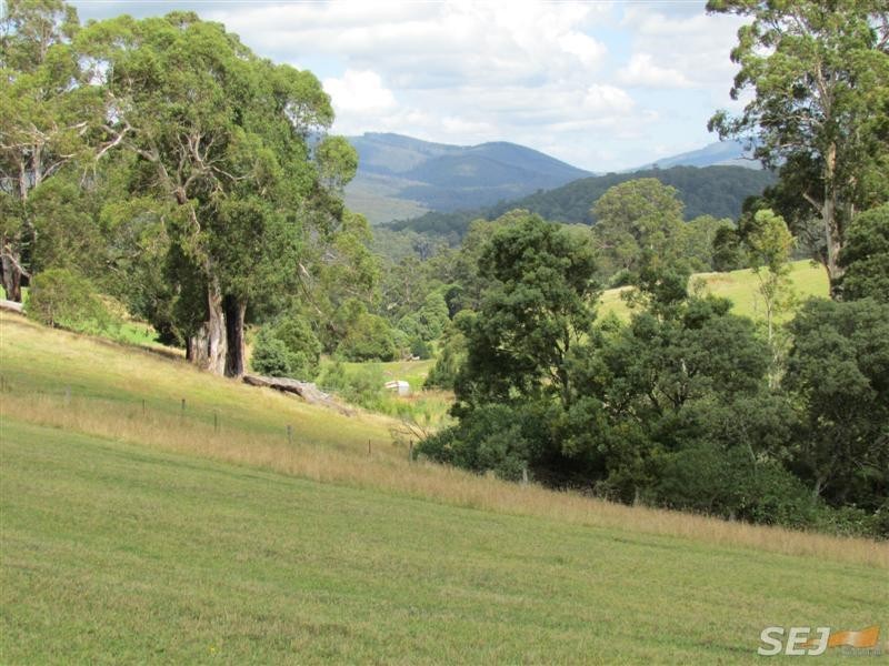 Lots 1, 2 and 3 Government Road, Neerim VIC 3831