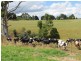 Lots 1, 2 and 3 Government Road, Neerim VIC 3831