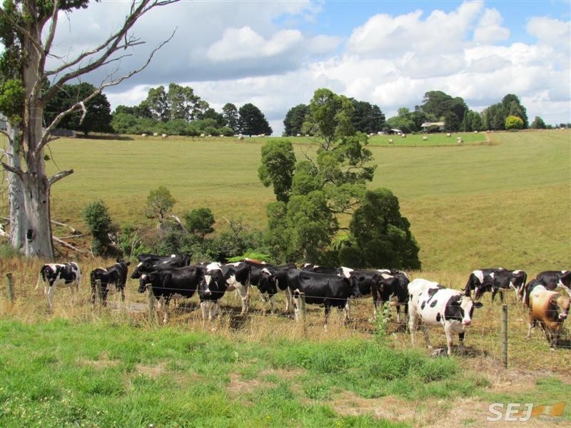 Lots 1, 2 and 3 Government Road, Neerim VIC 3831