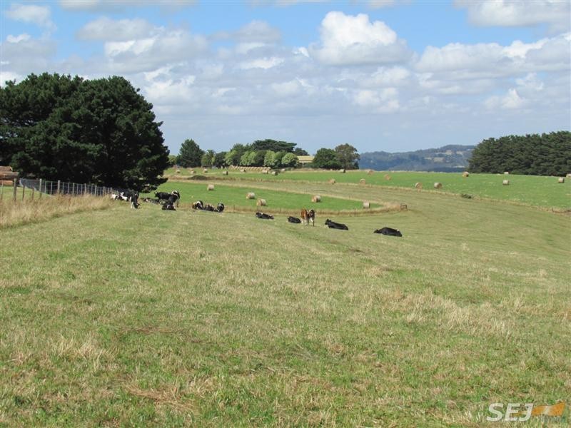 Lots 1, 2 and 3 Government Road, Neerim VIC 3831