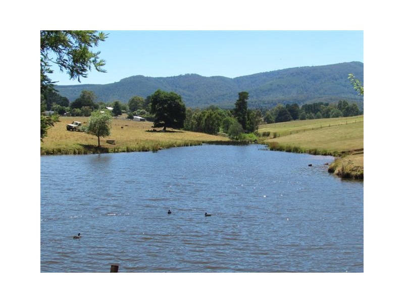 Lot 1, 1600 Mt Baw Baw Tourist Rd (Near Noojee), Icy Creek VIC 3833