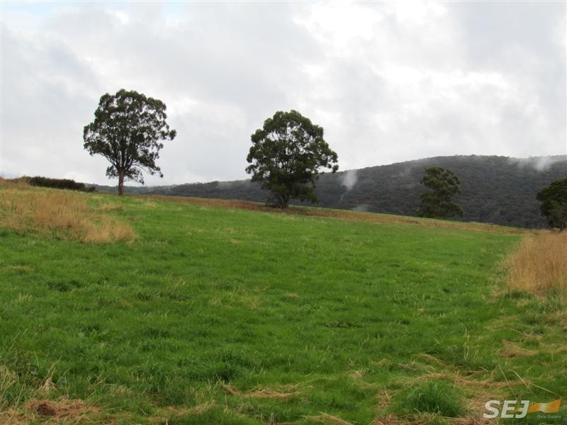 Lot 1, 1600 Mt Baw Baw Tourist Rd (Near Noojee), Icy Creek VIC 3833