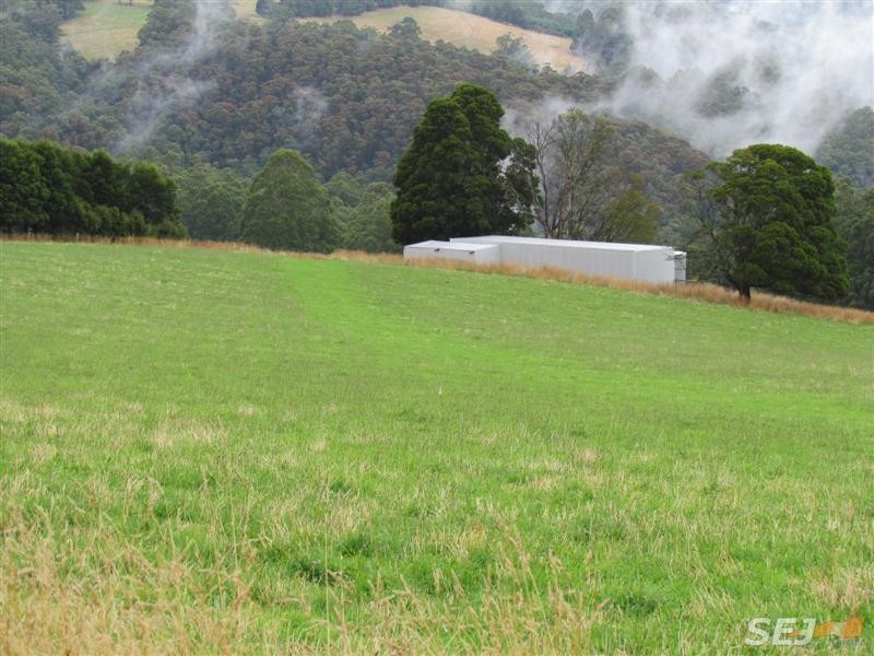 Lot 1, 1600 Mt Baw Baw Tourist Rd (Near Noojee), Icy Creek VIC 3833