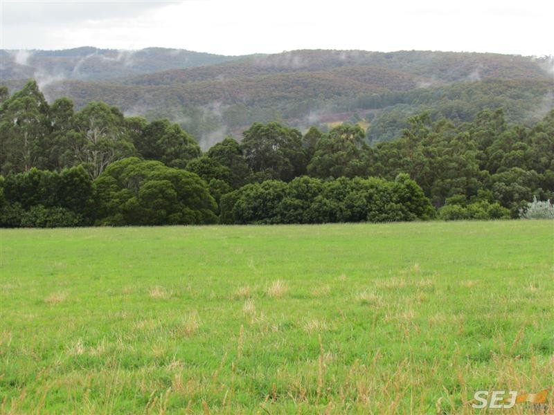 Lot 1, 1600 Mt Baw Baw Tourist Rd (Near Noojee), Icy Creek VIC 3833