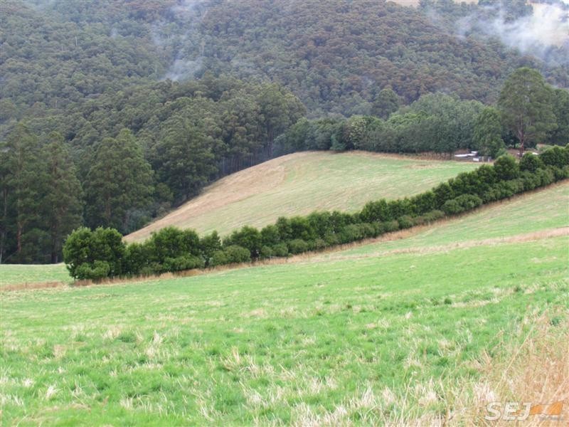Lot 1, 1600 Mt Baw Baw Tourist Rd (Near Noojee), Icy Creek VIC 3833