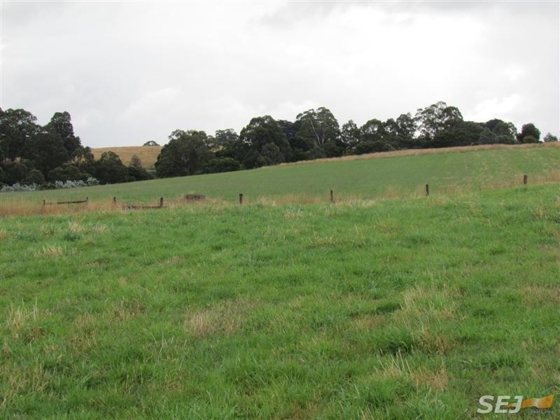 Lot 1, 1600 Mt Baw Baw Tourist Rd (Near Noojee), Icy Creek VIC 3833