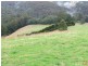 Lot 1, 1600 Mt Baw Baw Tourist Rd (Near Noojee), Icy Creek VIC 3833