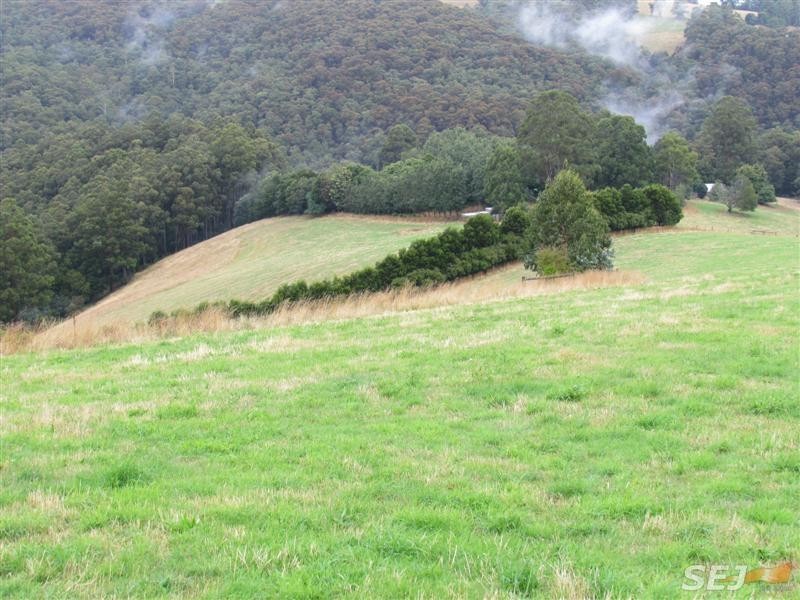 Lot 1, 1600 Mt Baw Baw Tourist Rd (Near Noojee), Icy Creek VIC 3833