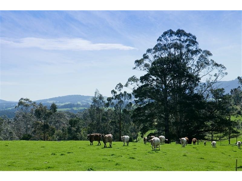 385 Duggan North Road, Fumina VIC 3825