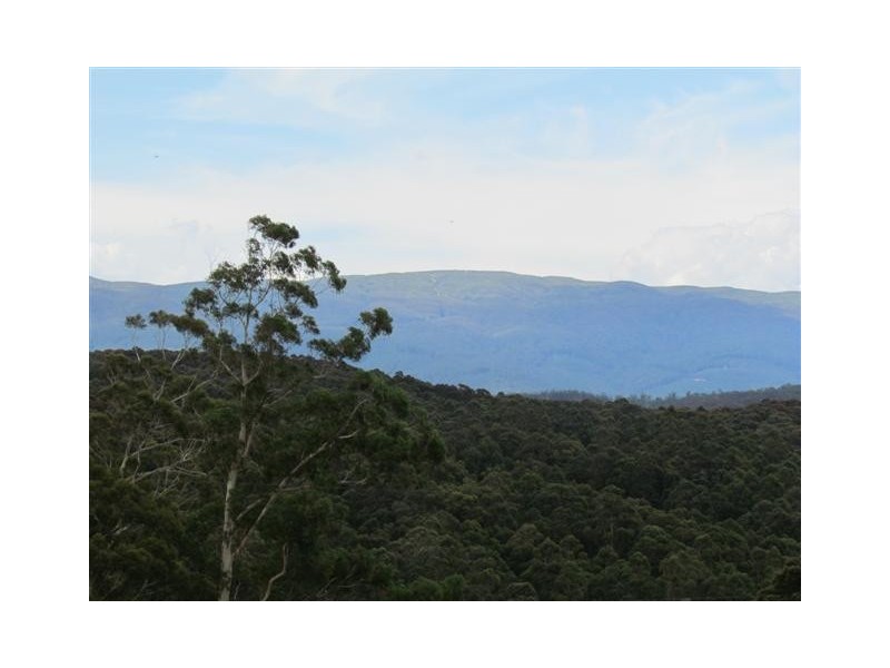 385 Duggan North Road, Fumina VIC 3825