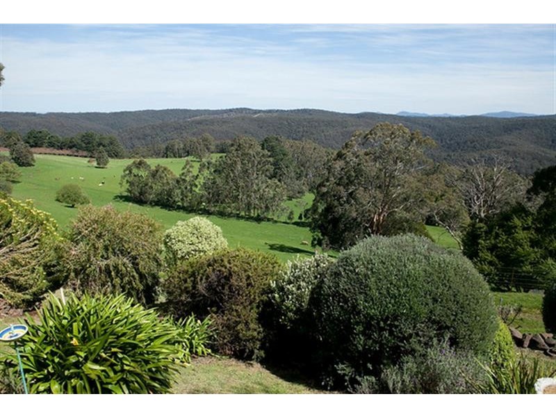 385 Duggan North Road, Fumina VIC 3825