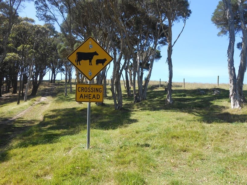 150 Hedley Range Road, Welshpool VIC 3966