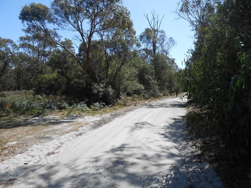 125 Charles Hall Road, Foster VIC 3960