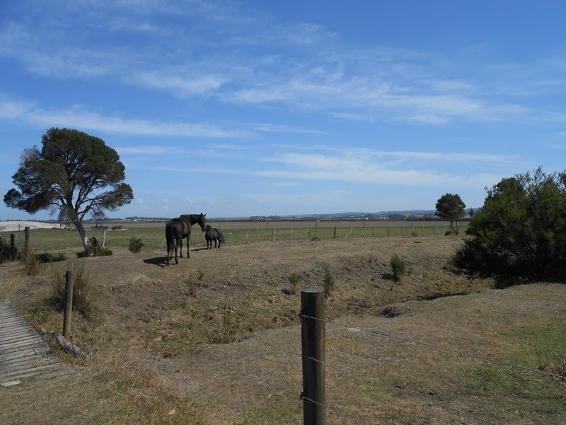 125 Charles Hall Road, Foster VIC 3960