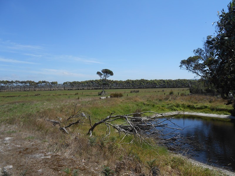 125 Charles Hall Road, Foster VIC 3960