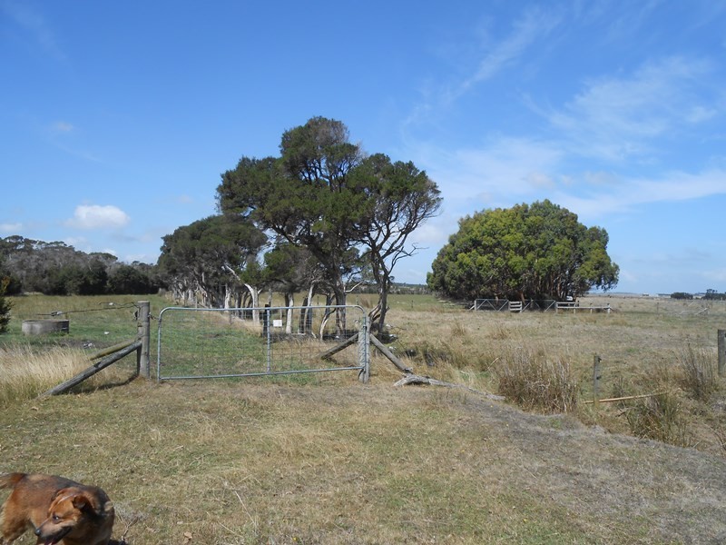 125 Charles Hall Road, Foster VIC 3960