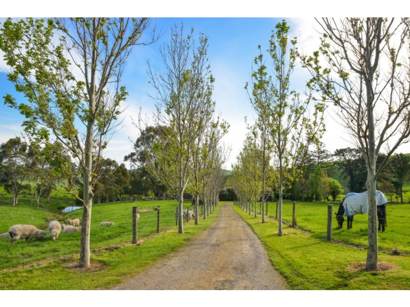 120 Mount Eccles Rd, Mount Eccles VIC 3953