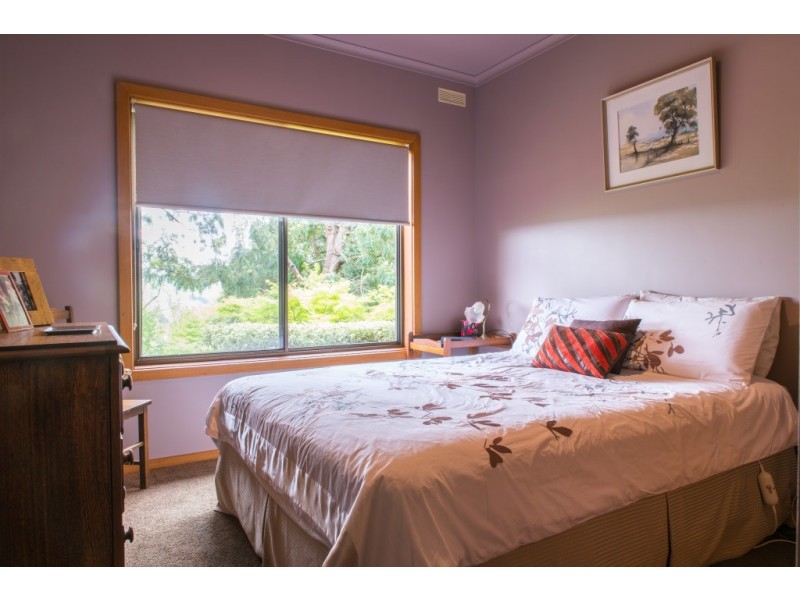 120 Mount Eccles Rd, Mount Eccles VIC 3953