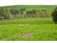 120 Mount Eccles Rd, Mount Eccles VIC 3953