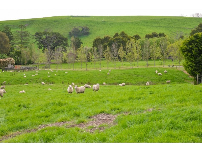 120 Mount Eccles Rd, Mount Eccles VIC 3953
