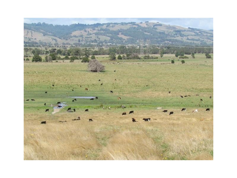 CA109 Sheehan Road, Yarragon VIC 3823