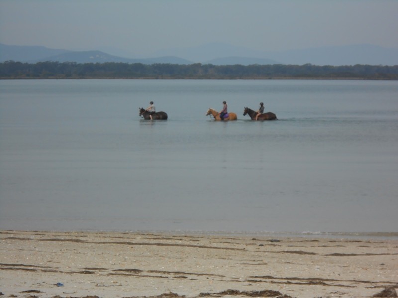 1 Stratton Street, Port Welshpool VIC 3965