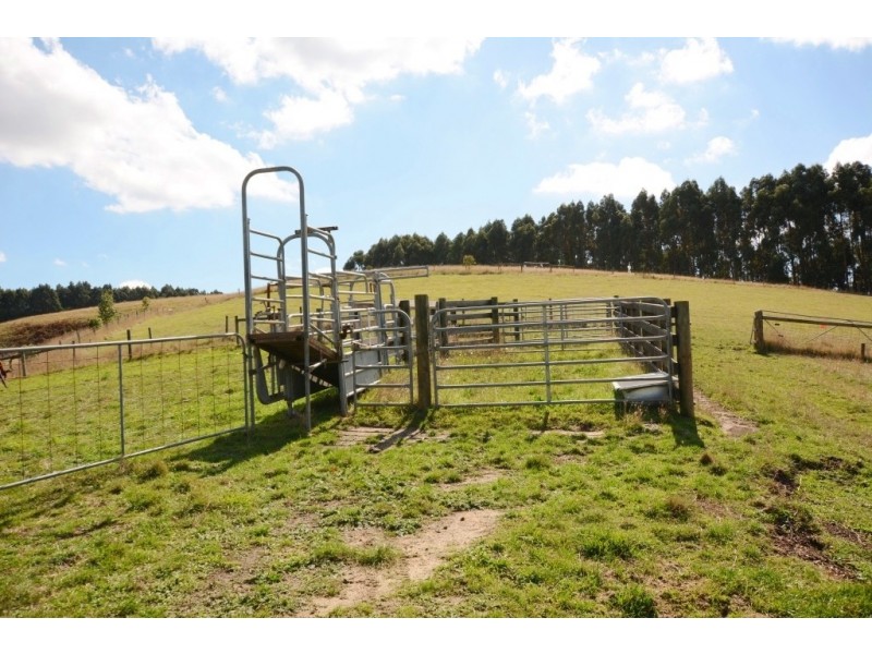 995 CANAVANS Rd, Mount Eccles VIC 3953