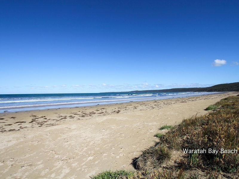 19 BIRRAHLEA STREET, Waratah Bay VIC 3959