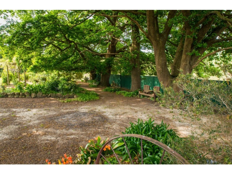 185 Amiets Rd, Wild Dog Valley VIC 3953