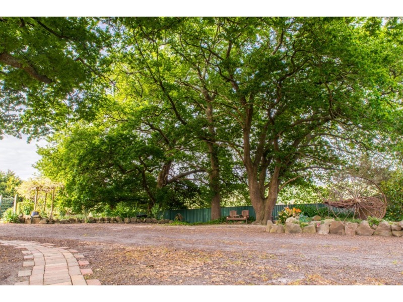 185 Amiets Rd, Wild Dog Valley VIC 3953