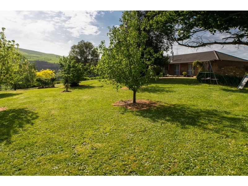 185 Amiets Rd, Wild Dog Valley VIC 3953