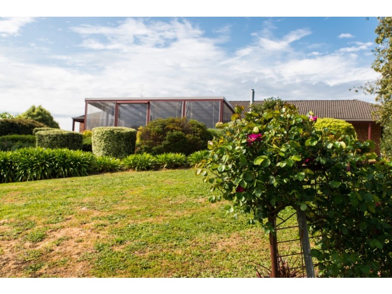 185 Amiets Rd, Wild Dog Valley VIC 3953