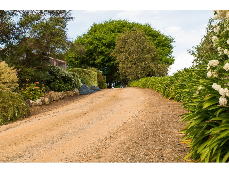 185 Amiets Rd, Wild Dog Valley VIC 3953