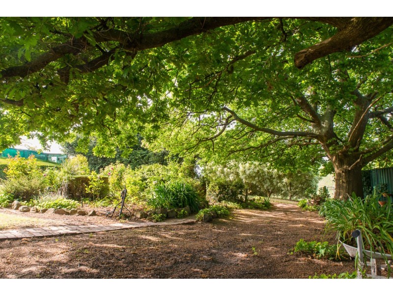 185 Amiets Rd, Wild Dog Valley VIC 3953